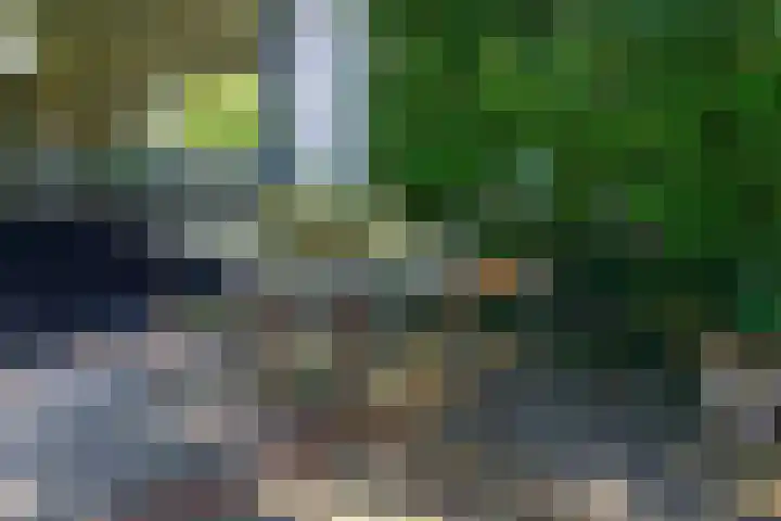 Leeuwerik 6 Bodegraven thumbnail 35