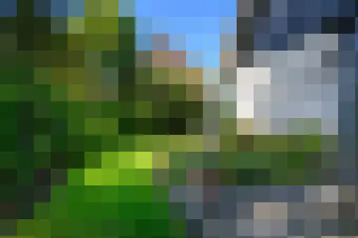 Leeuwerik 6 Bodegraven thumbnail 36