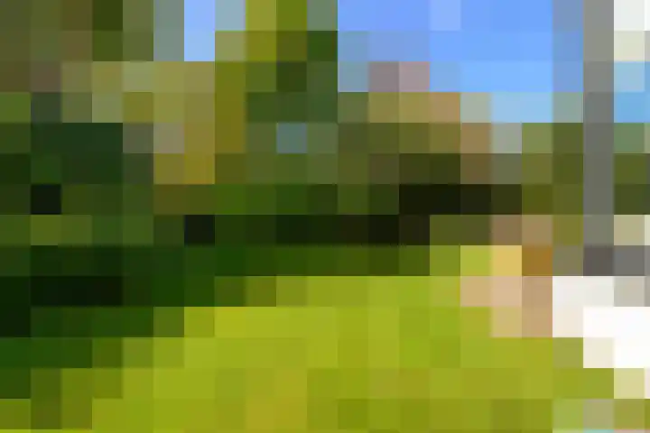 Leeuwerik 6 Bodegraven thumbnail 37