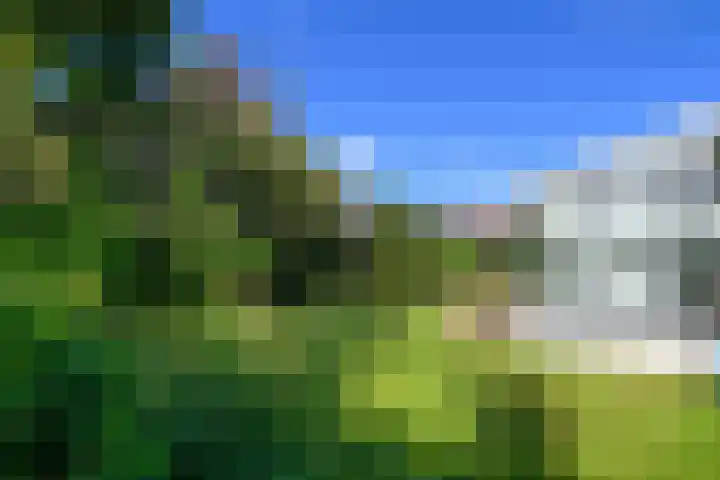 Leeuwerik 6 Bodegraven thumbnail 38
