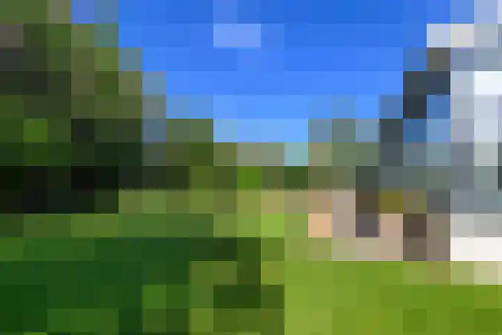 Leeuwerik 6 Bodegraven thumbnail 39