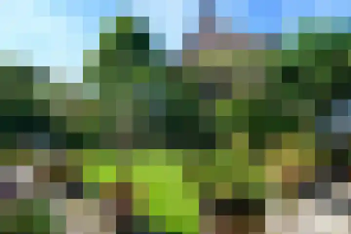 Leeuwerik 6 Bodegraven thumbnail 40