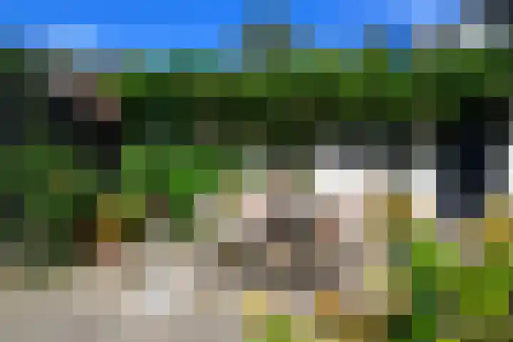 Leeuwerik 6 Bodegraven thumbnail 41