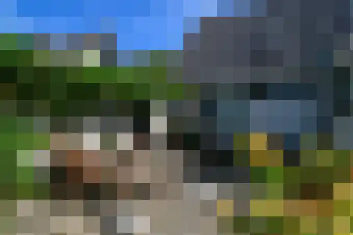 Leeuwerik 6 Bodegraven thumbnail 42