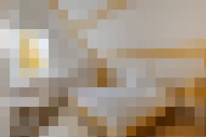 Leeuwerik 6 Bodegraven thumbnail 48