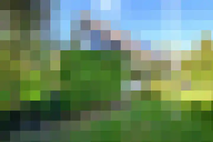Leeuwerik 6 Bodegraven thumbnail 52