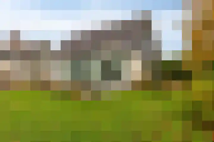 Leeuwerik 6 Bodegraven thumbnail 56
