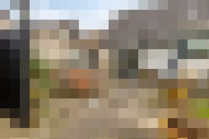 Leeuwerik 6 Bodegraven thumbnail 57
