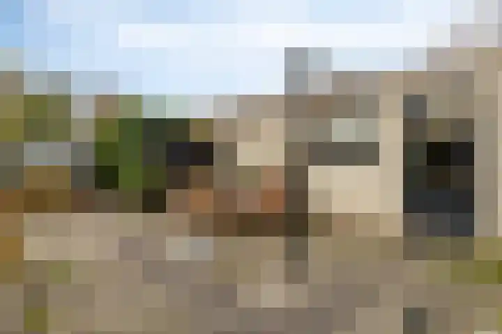 Leeuwerik 6 Bodegraven thumbnail 58