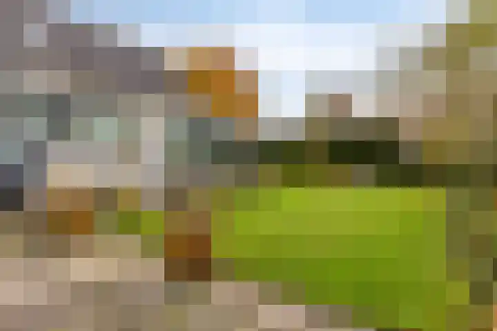 Leeuwerik 6 Bodegraven thumbnail 59