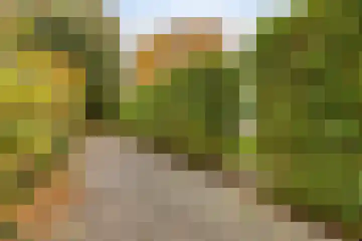 Leeuwerik 6 Bodegraven thumbnail 6