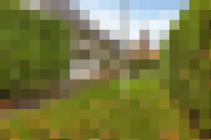 Leeuwerik 6 Bodegraven thumbnail 60