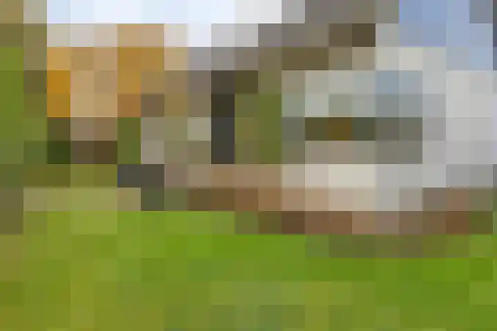 Leeuwerik 6 Bodegraven thumbnail 61