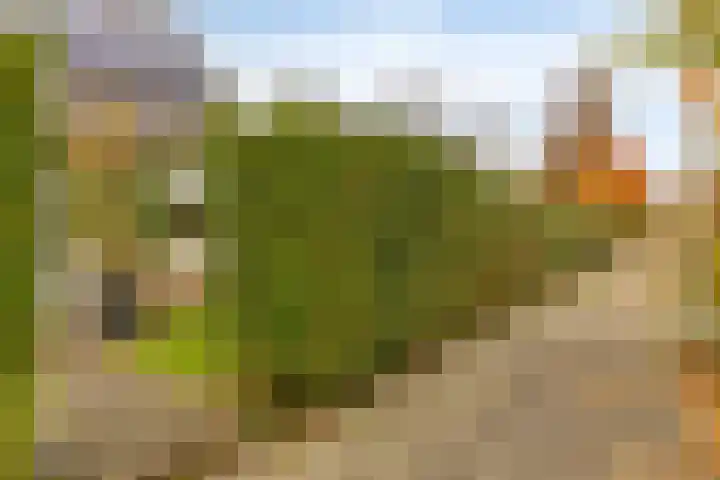 Leeuwerik 6 Bodegraven thumbnail 7