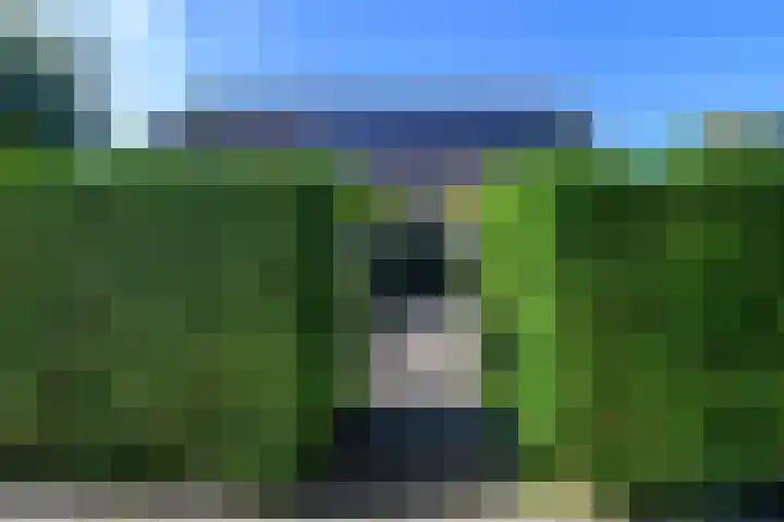 Leeuwerik 6 Bodegraven thumbnail 8