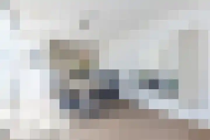Leeuwerik 6 Brunssum thumbnail 13