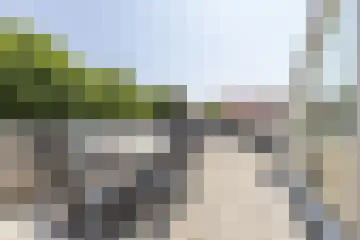 Leeuwerik 6 Brunssum thumbnail 26