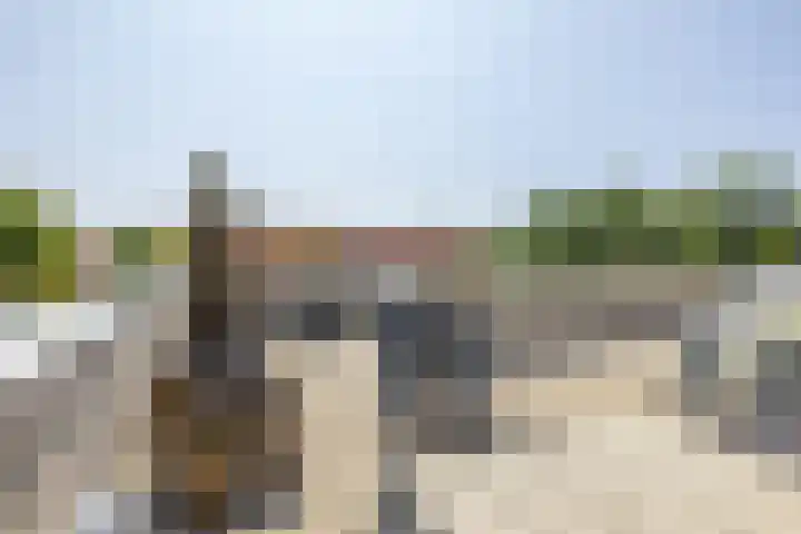 Leeuwerik 6 Brunssum thumbnail 30