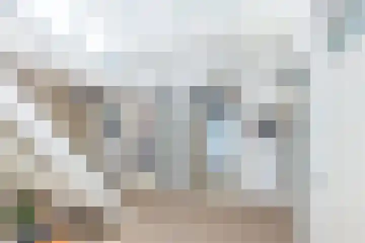 Leeuwerik 6 Brunssum thumbnail 31