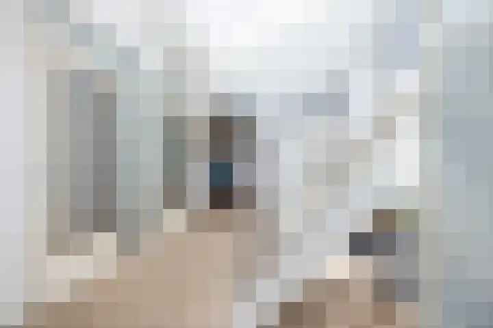 Leeuwerik 6 Brunssum thumbnail 7