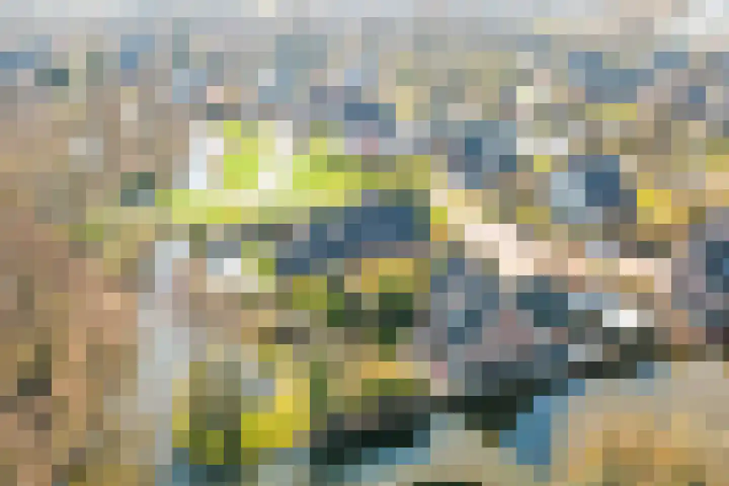 Leeuwerik 6 Zuid-Scharwoude thumbnail 39