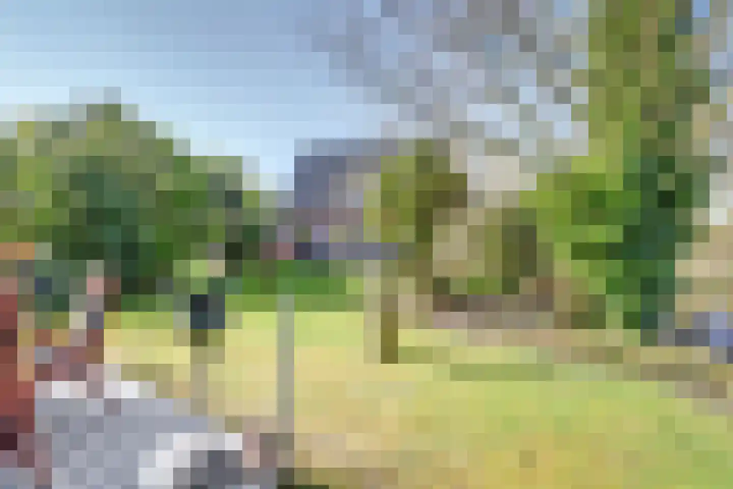 Leeuwerik 6 Zuid-Scharwoude thumbnail 4