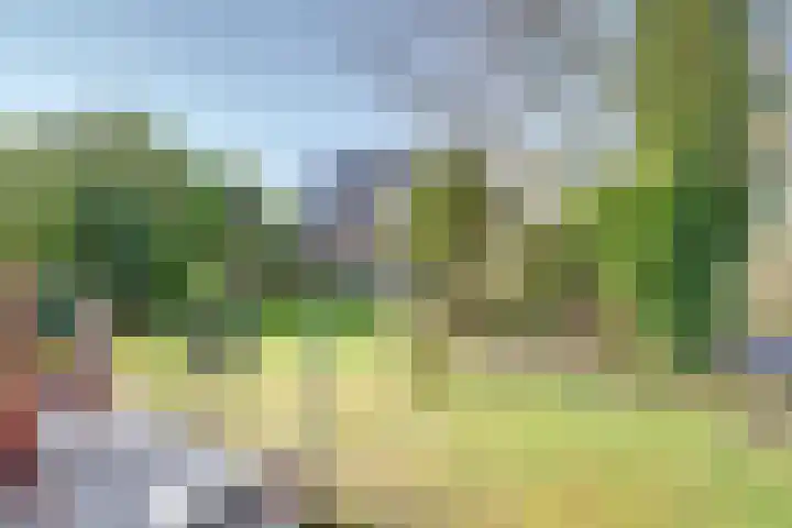 Leeuwerik 6 Zuid-Scharwoude thumbnail 4