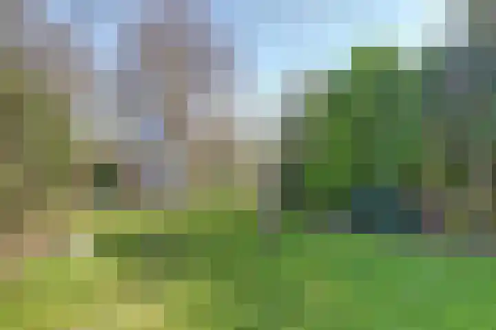 Leeuwerik 6 Zuid-Scharwoude thumbnail 41