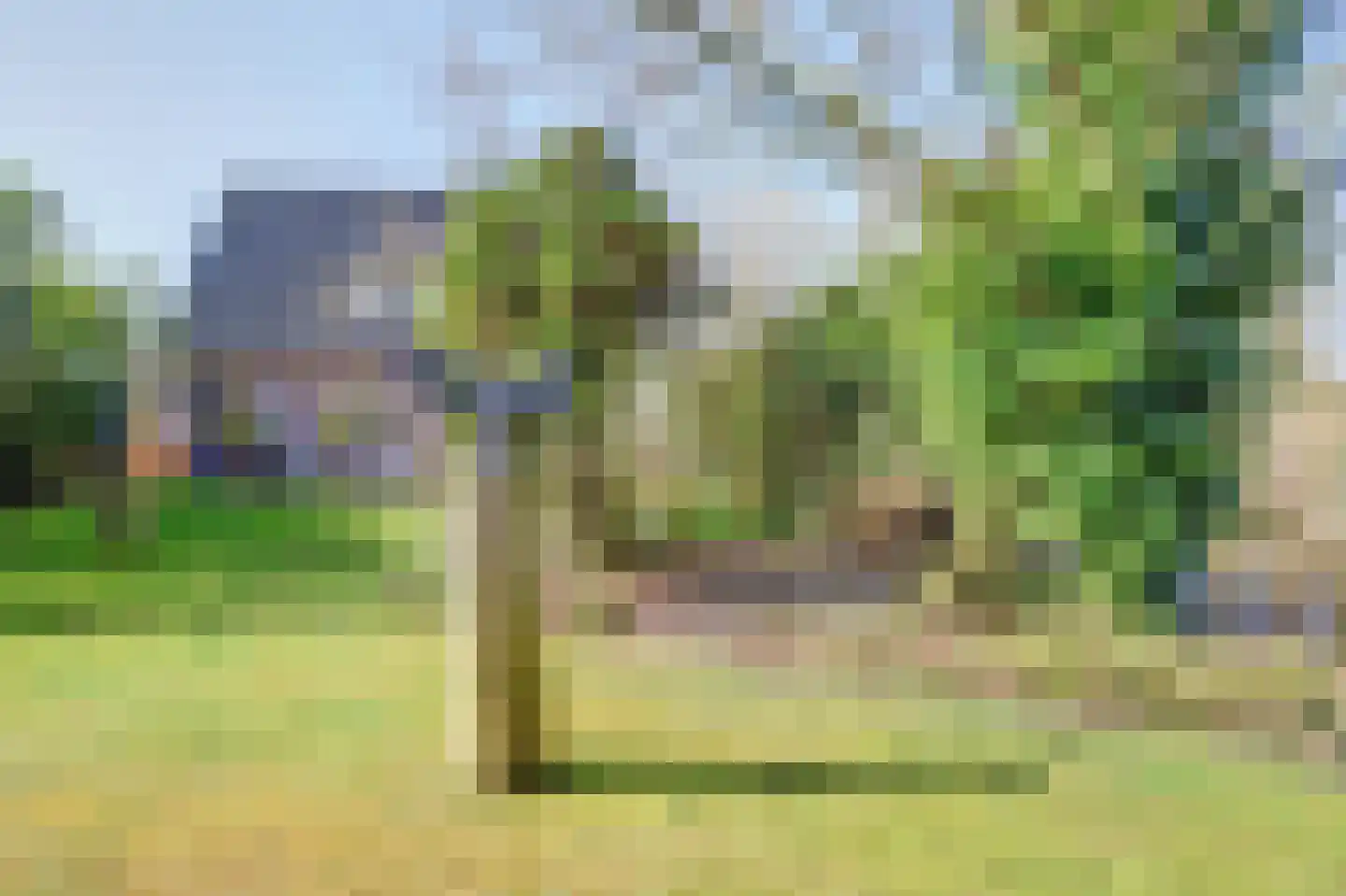 Leeuwerik 6 Zuid-Scharwoude thumbnail 45