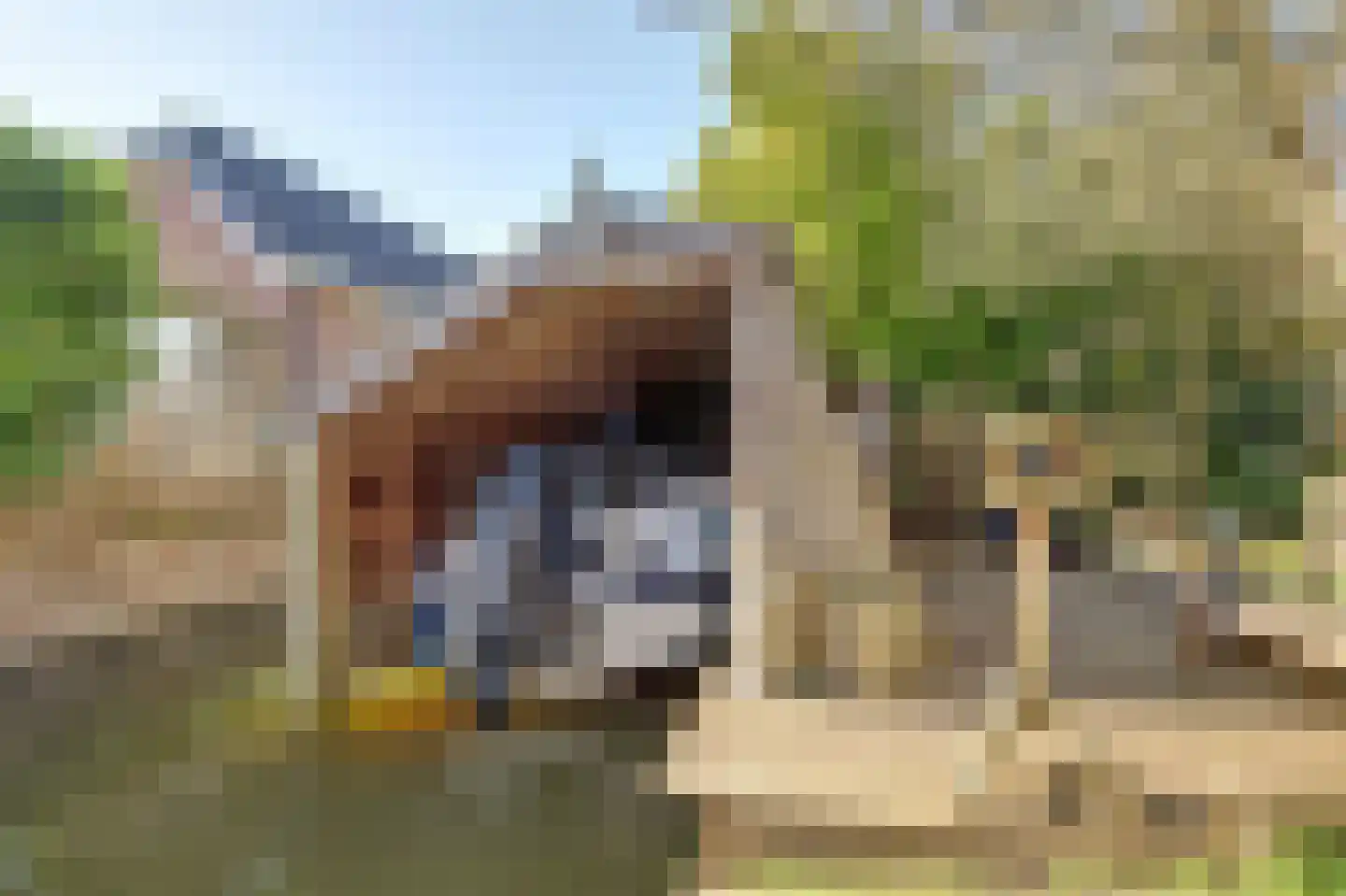 Leeuwerik 6 Zuid-Scharwoude thumbnail 47