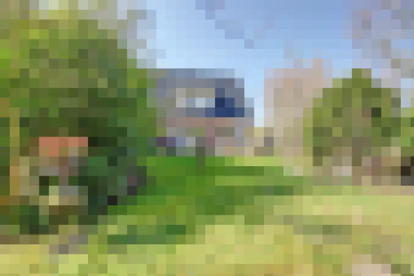 Leeuwerik 6 Zuid-Scharwoude thumbnail 51
