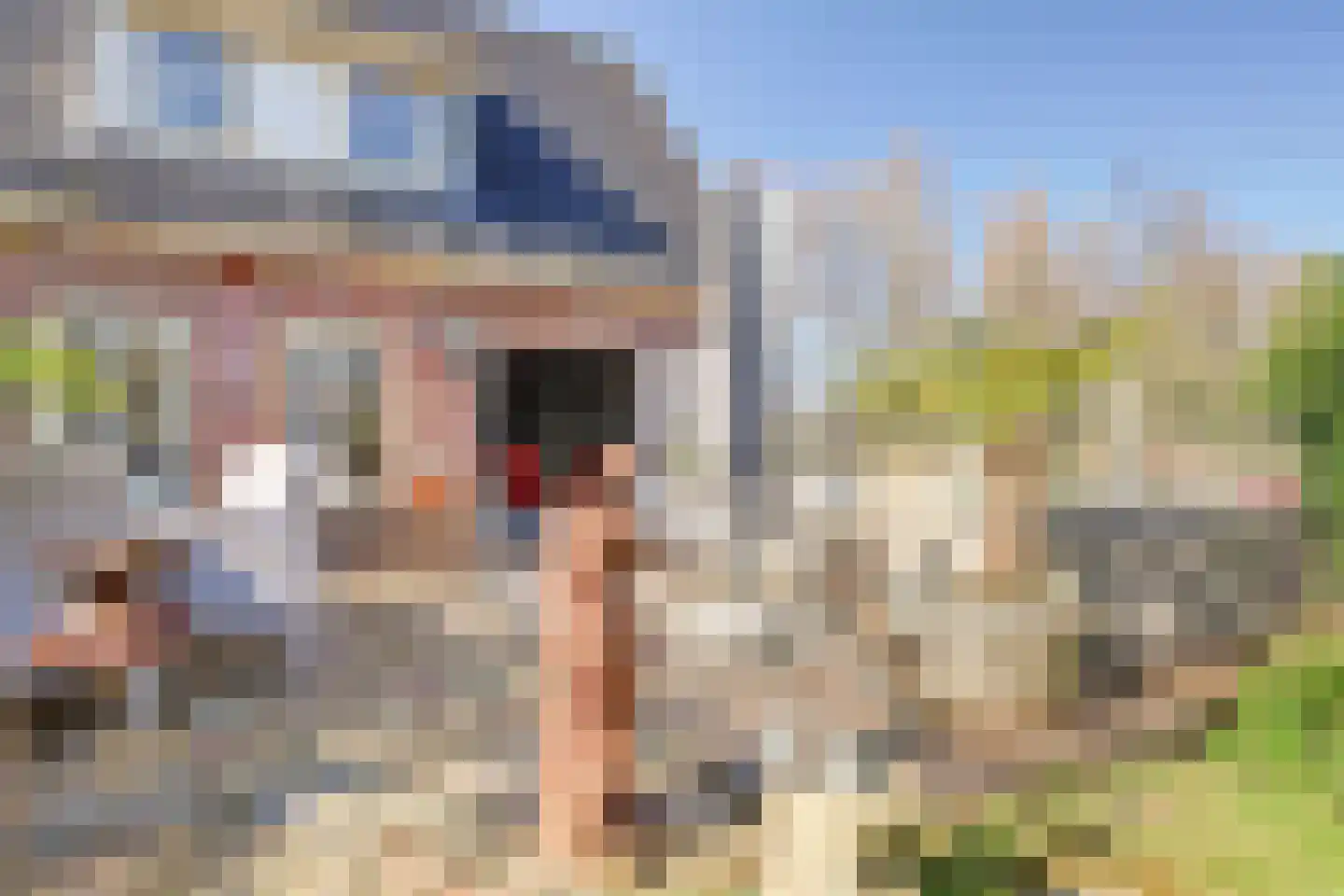 Leeuwerik 6 Zuid-Scharwoude thumbnail 52