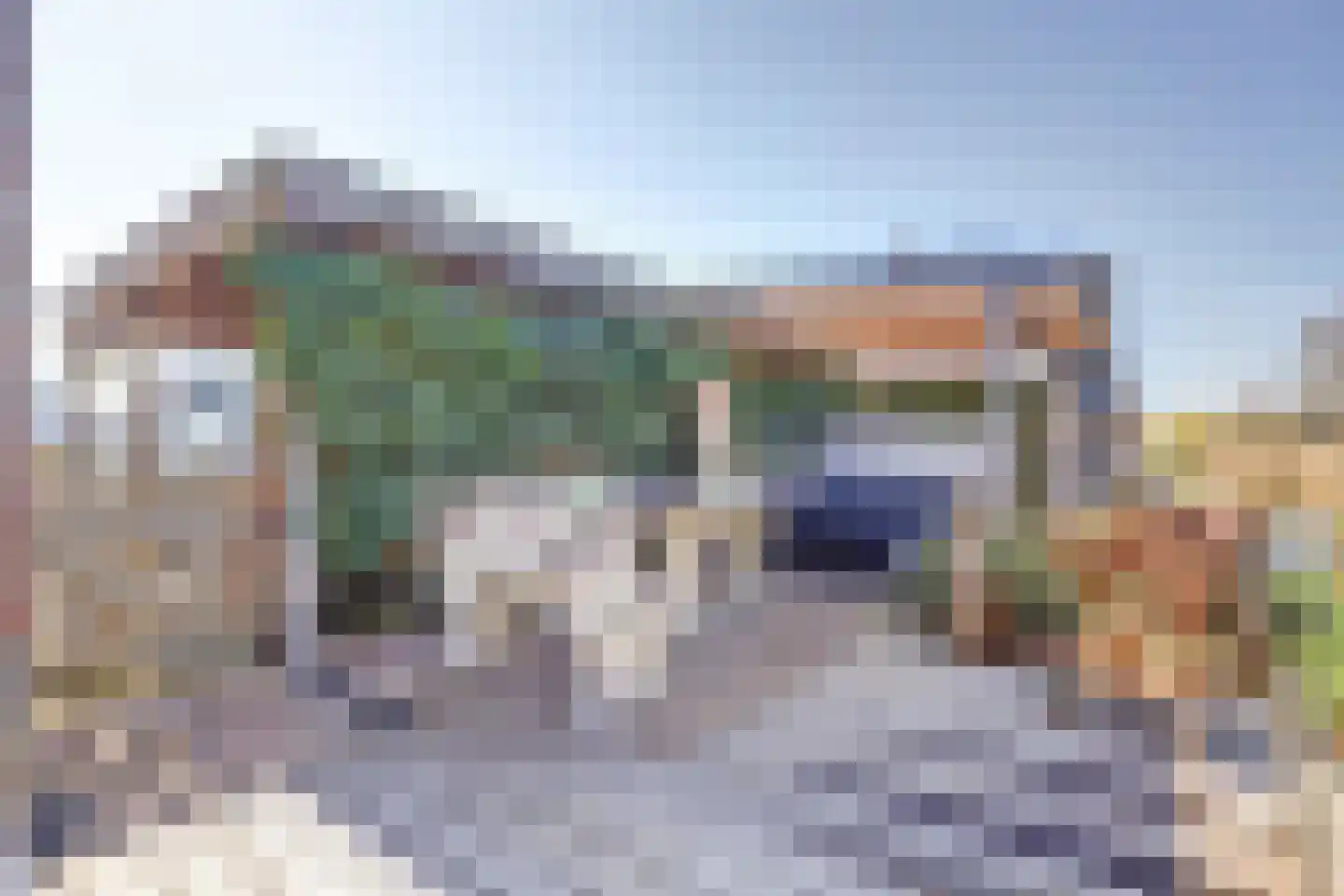 Leeuwerik 6 Zuid-Scharwoude thumbnail 57