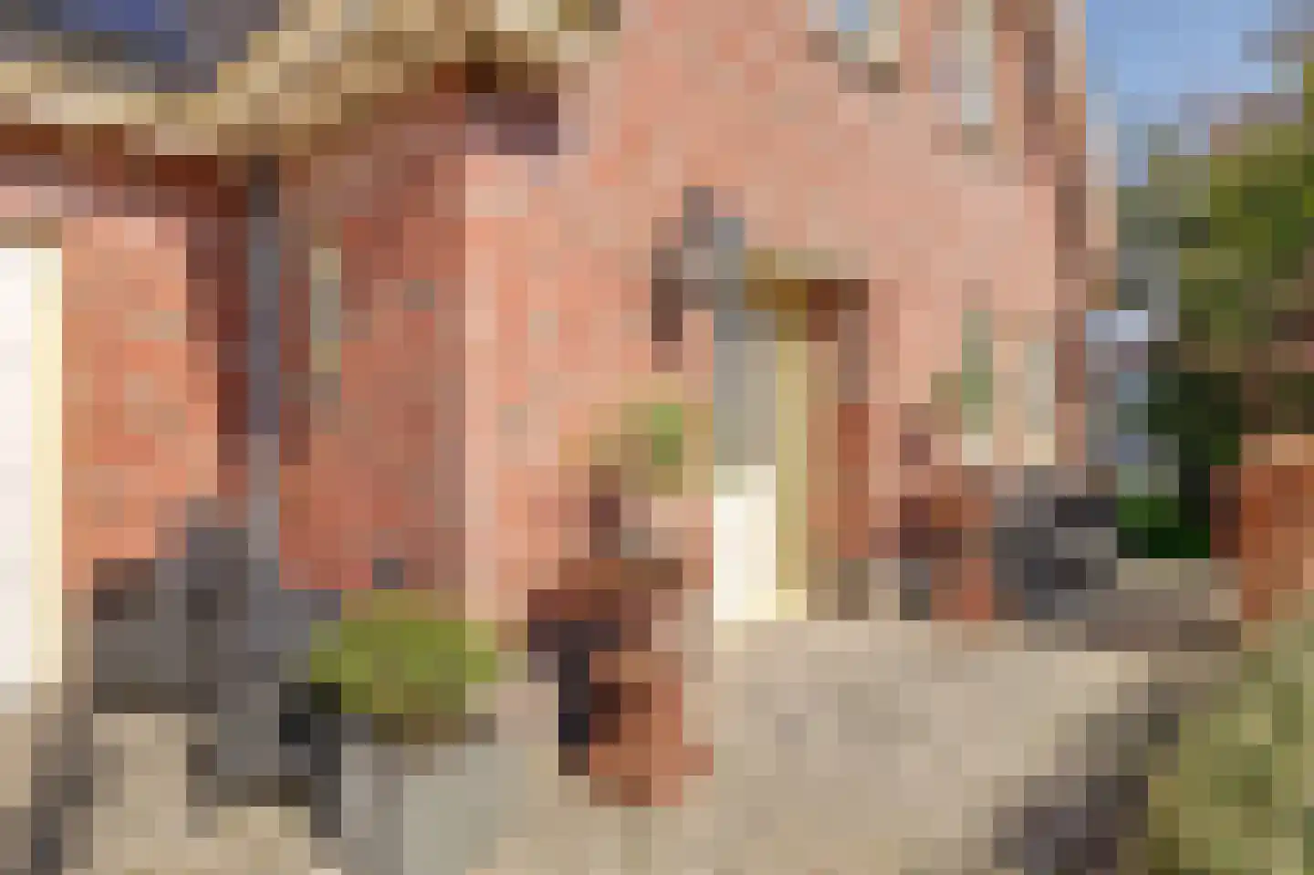 Leeuwerik 6 Zuid-Scharwoude thumbnail 6