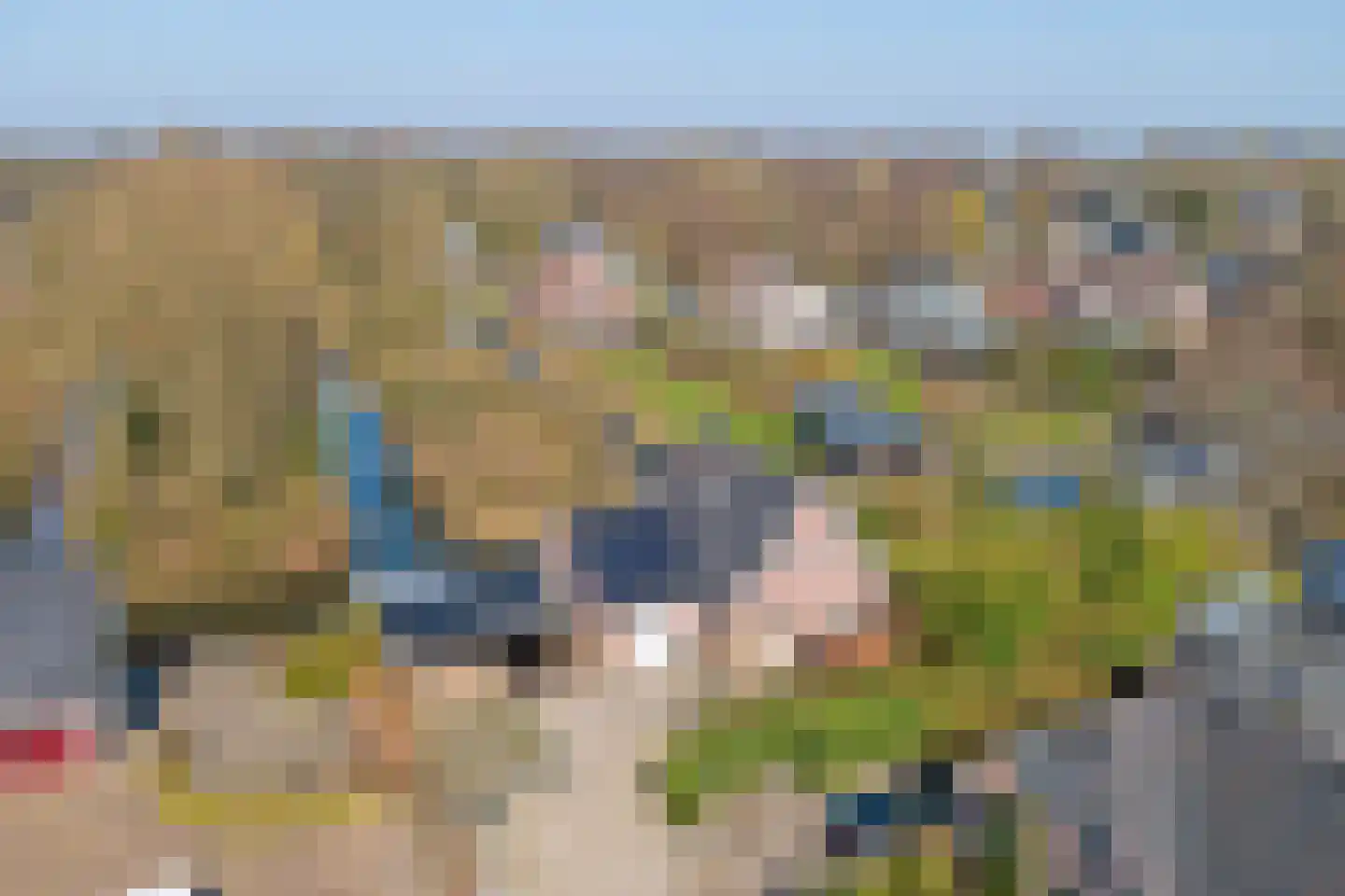 Leeuwerik 6 Zuid-Scharwoude thumbnail 61