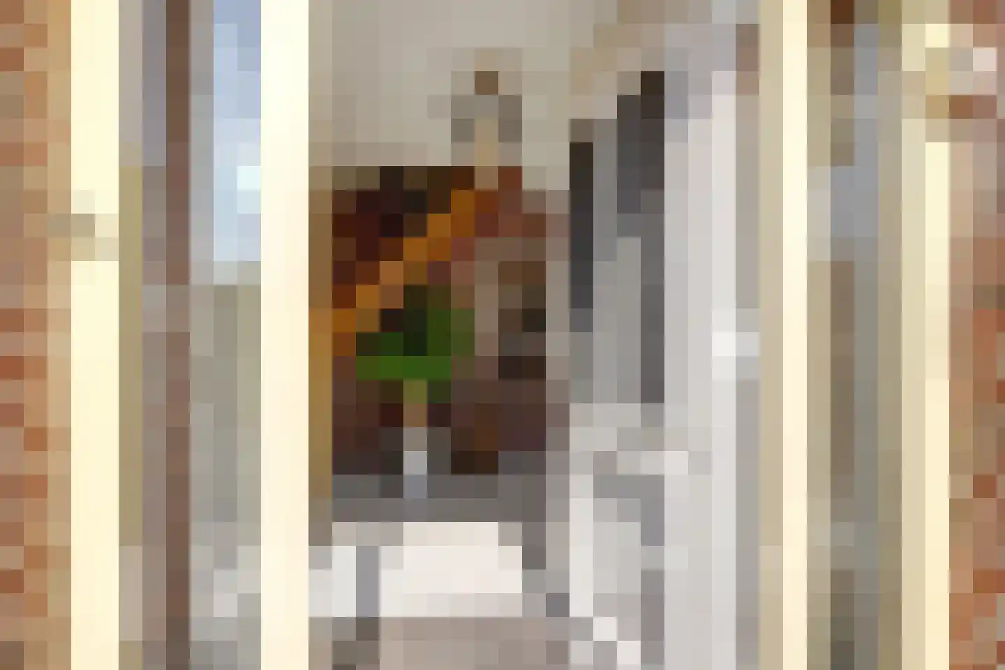 Leeuwerik 6 Zuid-Scharwoude thumbnail 7