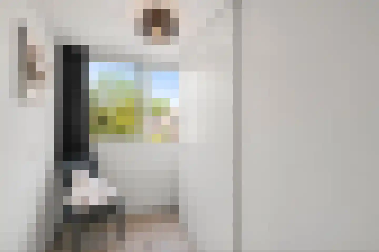 Leeuwerik 61 Veenendaal thumbnail 19