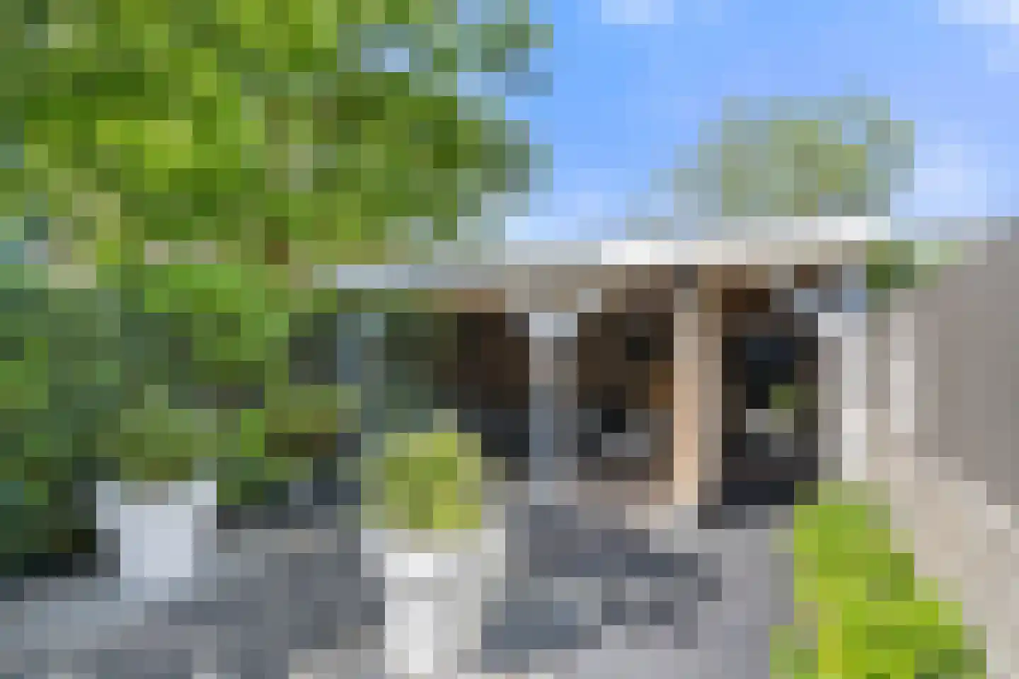 Leeuwerik 61 Veenendaal thumbnail 26