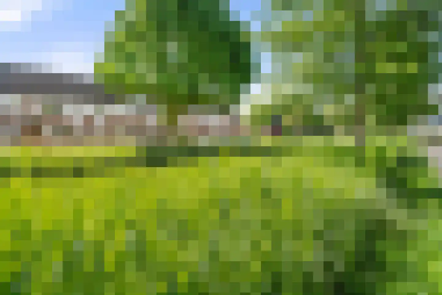 Leeuwerik 61 Veenendaal thumbnail 36
