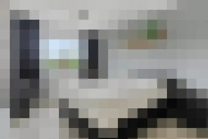 Leeuwerik 63 Mierlo thumbnail 13