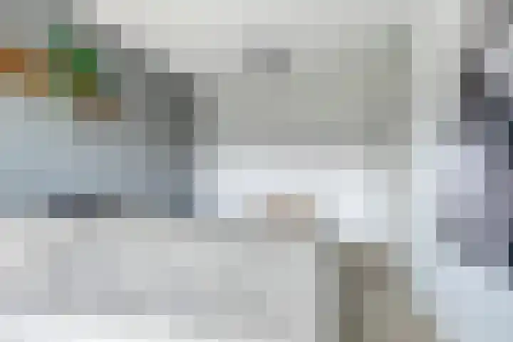 Leeuwerik 63 Mierlo thumbnail 14