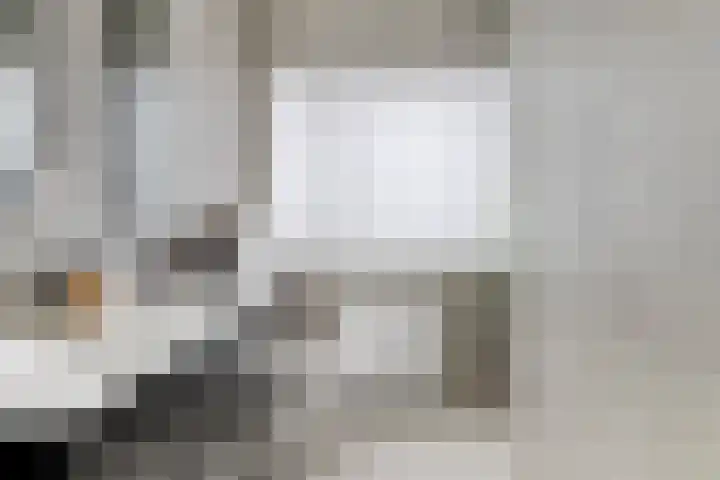 Leeuwerik 63 Mierlo thumbnail 17
