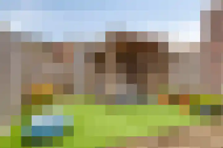 Leeuwerik 63 Mierlo thumbnail 23