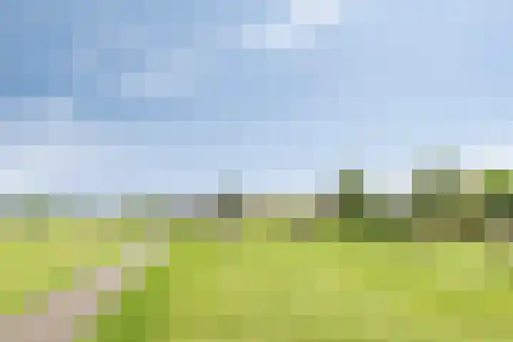 Leeuwerik 63 Mierlo thumbnail 25
