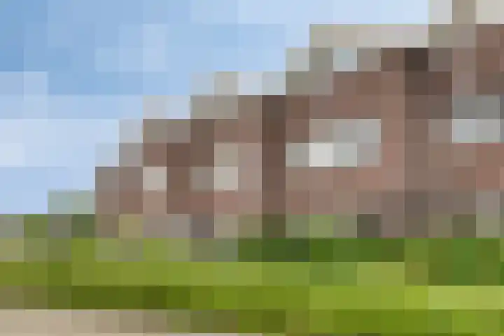 Leeuwerik 63 Mierlo thumbnail 26