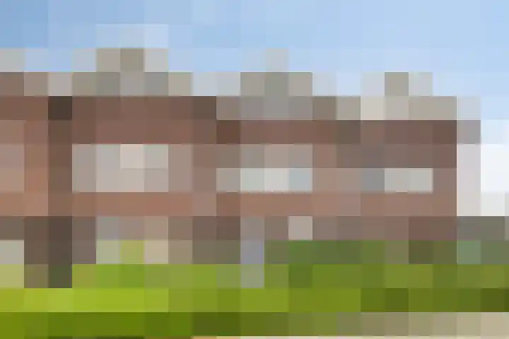 Leeuwerik 63 Mierlo thumbnail 31