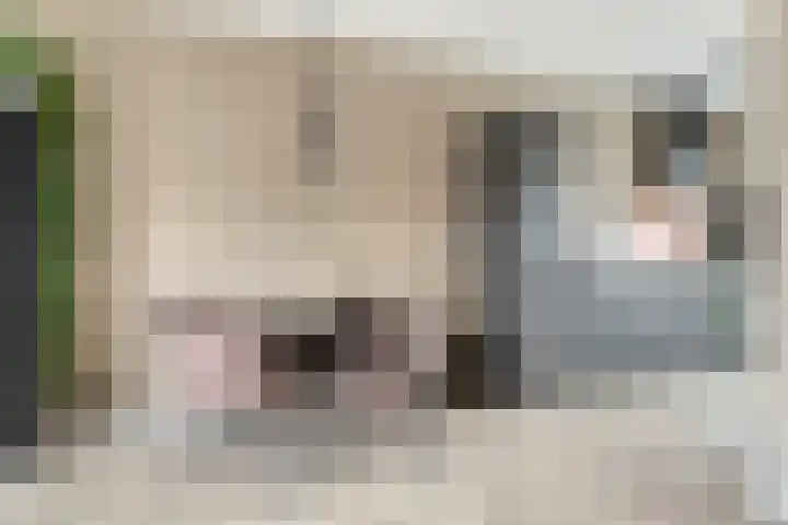 Leeuwerik 63 Mierlo thumbnail 8