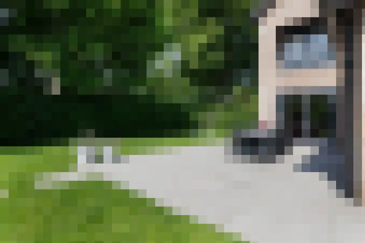 Leeuwerik 65 Waspik thumbnail 25