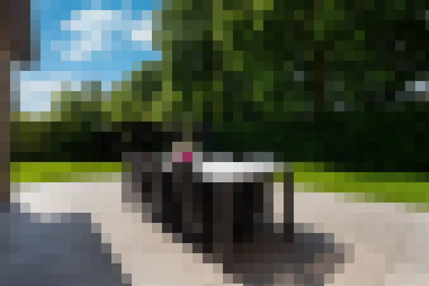 Leeuwerik 65 Waspik thumbnail 26