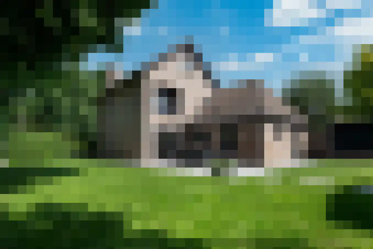 Leeuwerik 65 Waspik thumbnail 29